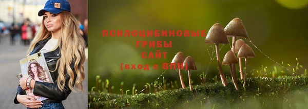 стафф Балабаново