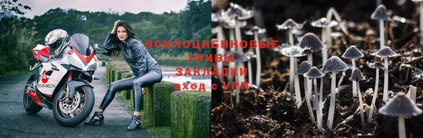 стафф Балабаново