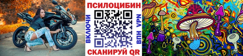 Псилоцибиновые грибы Cubensis  маркетплейс официальный сайт  Тихорецк 